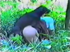 Outside, a brunette slutwife got into a fight with a dog.